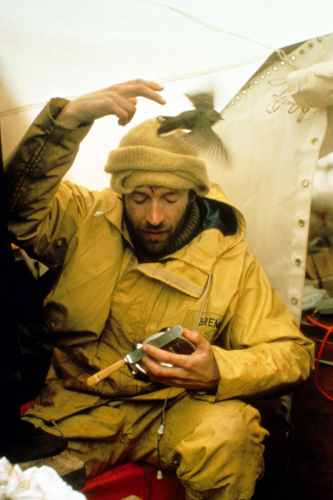 Tim brushing bird off head