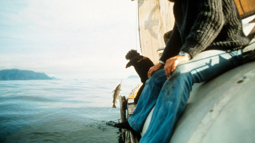 Trondur catching cod off Iceland