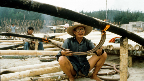 Bending one of 220 giant bamboos