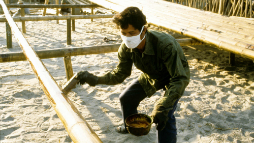 Painting on the laquer