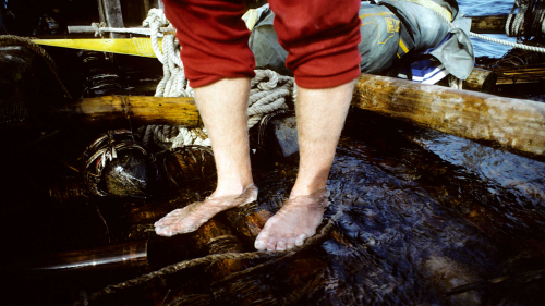 Rex's feet on the foredeck permanently awash
