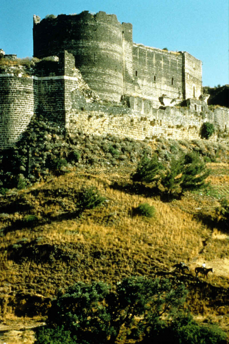 The Crusader castle of Markab