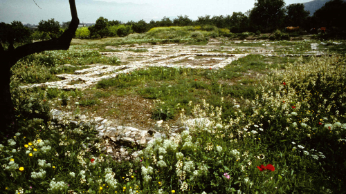 Bronze age remains at Volos - Jasons home