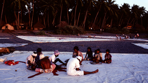 Sailmaking - Beypore beach
