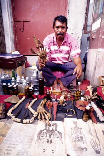 Tradition medecine dugong flipper - Manado