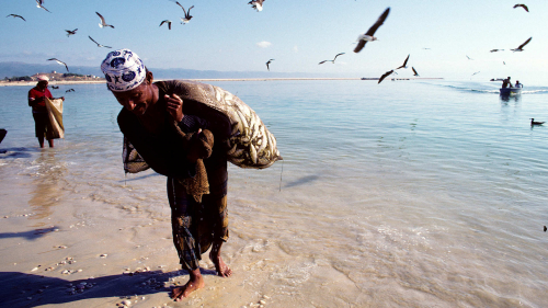 Fisherman Batinah beach